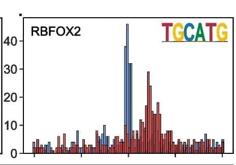 Open access visualization of Histogram, RBP, Motif, Read Coverage Peaks, RCRUNCH