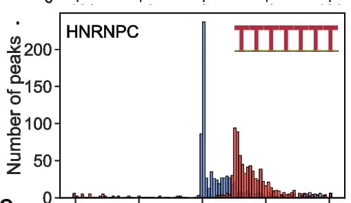 Open access visualization of Histogram, RBP, Motif, Read Coverage Peaks, RCRUNCH