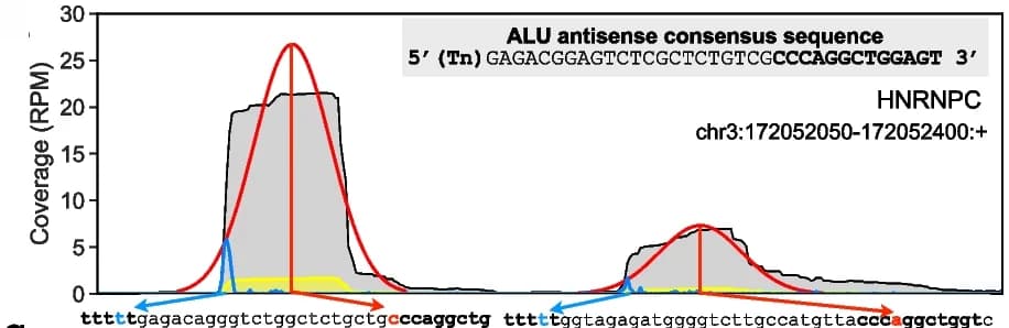 Open access visualization of Line Plot, Density Plot, hnRNPC, Binding Peaks, Alu Antisense Elements