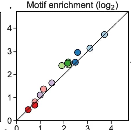 Open access visualization of Scatter Plot, Regression Plot, Motif Enrichment, RBP