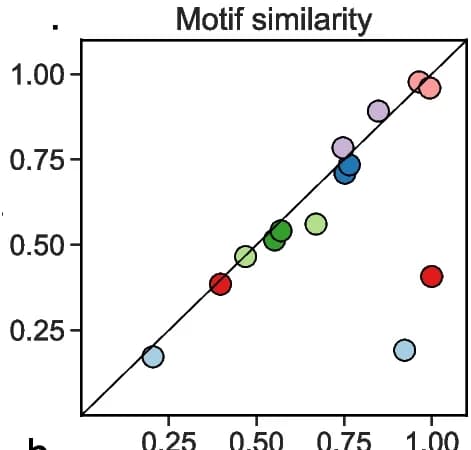 Open access visualization of Scatter Plot, Regression Plot, Motif Similarity, De Novo Motif, RBP