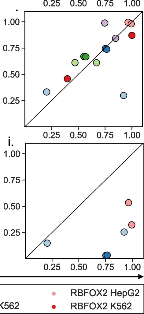 Open access visualization of Scatter Plot, Regression Plot, Motif Similarity, De Novo Motif, RBP