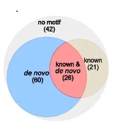 Open access visualization of Venn Diagram, Motif Inference, Peaks, Proteins, De Novo Motif