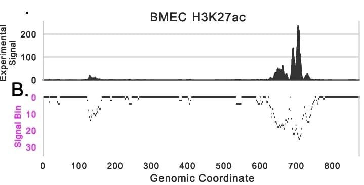 Open access visualization of Line Plot, Line Step, H3K27ac, Brain Microvascular Endothelial Cells