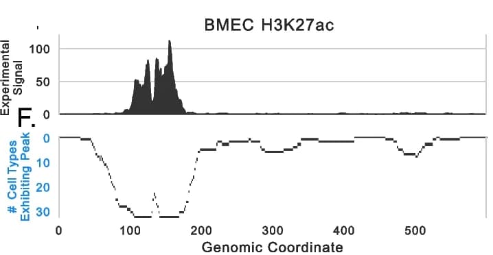 Open access visualization of Line Plot, Line Step, Density Plot, H3K27ac, Brain Microvascular Endothelial Cells