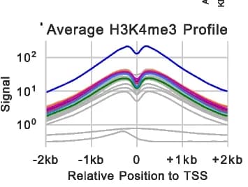 Open access visualization of Line Plot, H3K4me3 Profile, Experimental Signal, Quantile-Normalized Signal, Imputed Signal