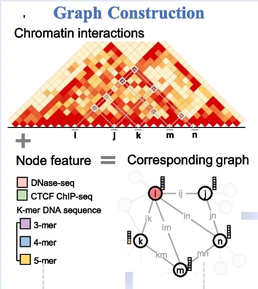 Open access visualization of Network, Heatmap, Hi-C contact map, Chromosome, Genome Bins