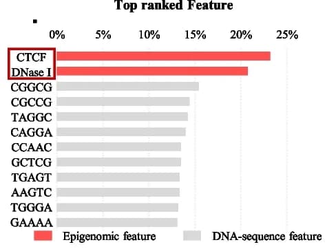 Open access visualization of Bar Plot, CTCF, DNase I, Node Features