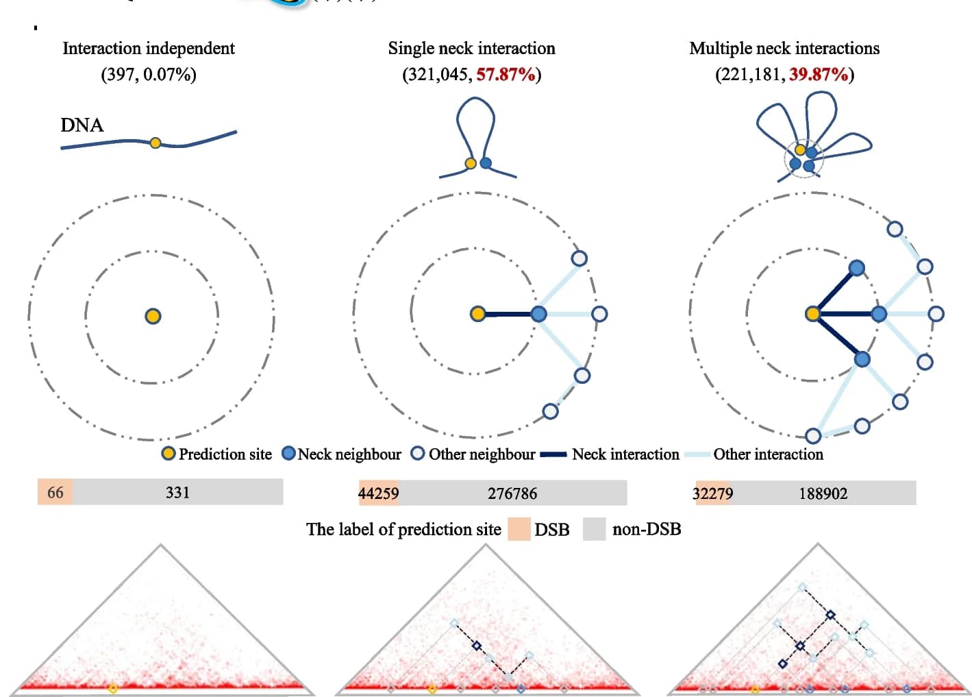 Open access visualization of Heatmap, Network, Pathway, FaCIN, Hi-C contact maps