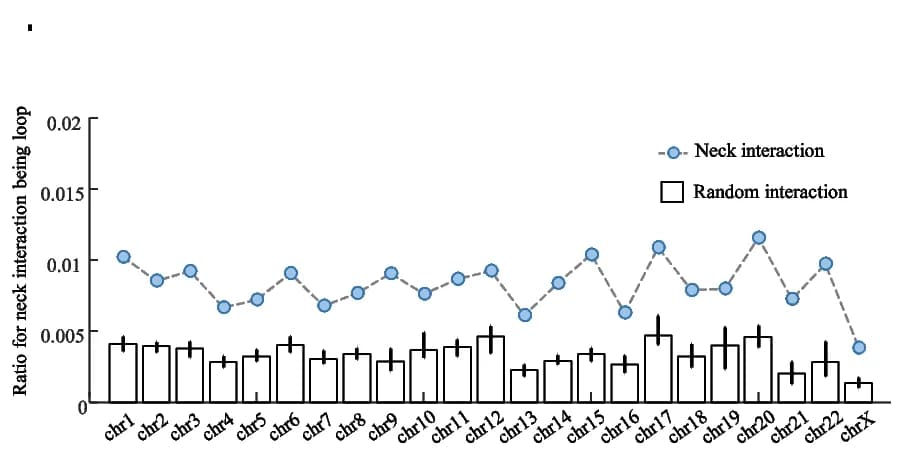 Open access visualization of Bar Plot, Error Bars, Line Plot, Neck Interactions, Loop Anchors