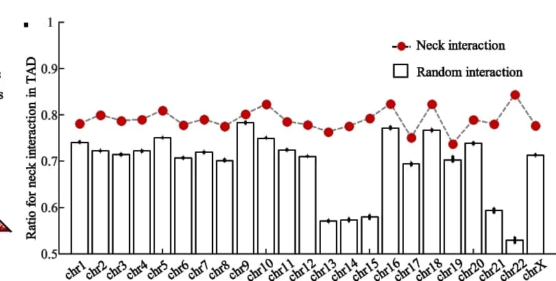 Open access visualization of Bar Plot, Error Bars, Line Plot, Neck Interactions, TAD