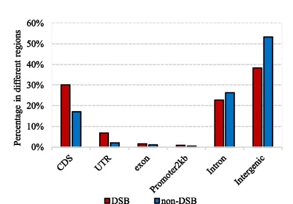 Open access visualization of Bar Plot, Clustered, DSB Sites, Neck Neighbors, CDS