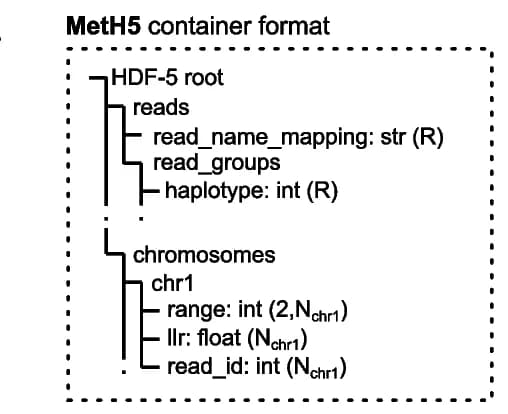 Open access visualization of Workflow, Flowchart, MetH5 file format, HDF5 container, Dataset types