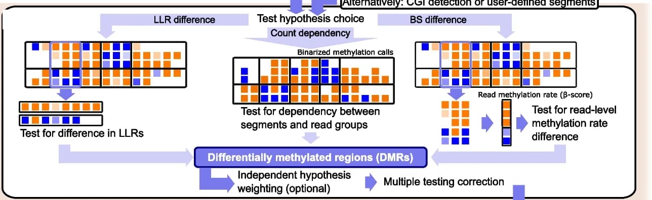 Open access visualization of Workflow, Flowchart, Differential Methylation Testing, LLR Difference Hypothesis, Count Dependency Hypothesis