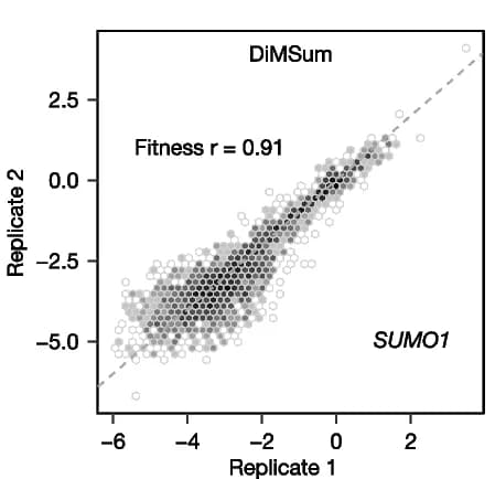 Open access visualization of Scatter Plot, Regression Plot, DiMSum, satmut_utils, Replicate Correlation