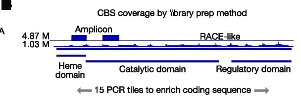 Open access visualization of Line Plot, Line Step, CBS Domains, Sequencing Coverage, Amplicon Method
