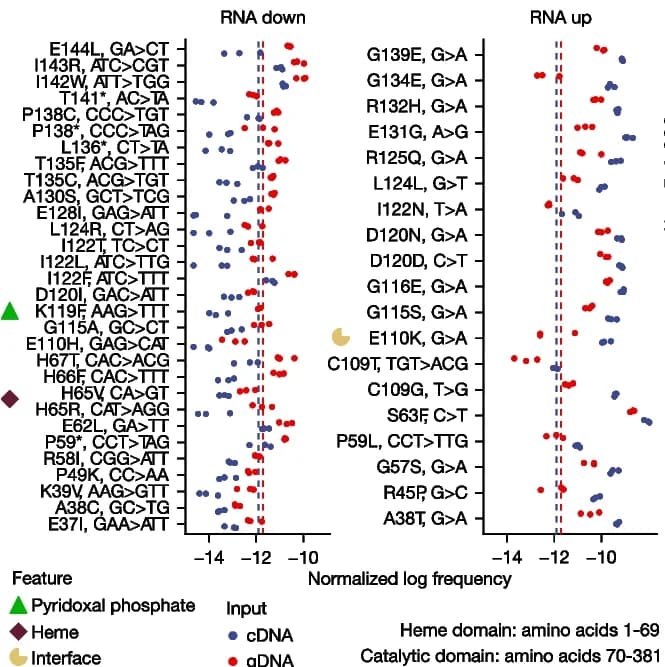 Open access visualization of Scatter Plot, Volcano Plot, CBS Variants, mRNA Abundance, Differential Abundance
