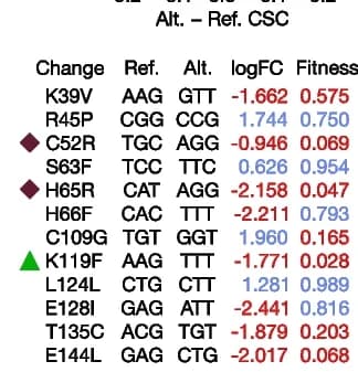 Open access visualization of Table Image, mRNA Abundance, Yeast Functional Complementation, Vitamin B6, Fitness Score