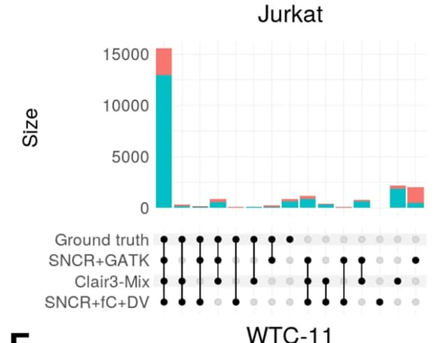 Open access visualization of Stacked Bar Plot, UpSet, UpSet plots, Variants, Ground truth