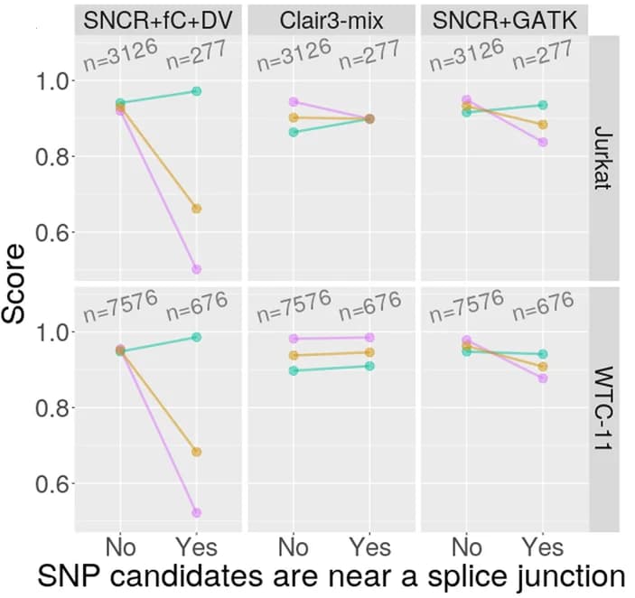 Open access visualization of Line Plot, Scatter Plot, SNP, Splice Junctions, Jurkat