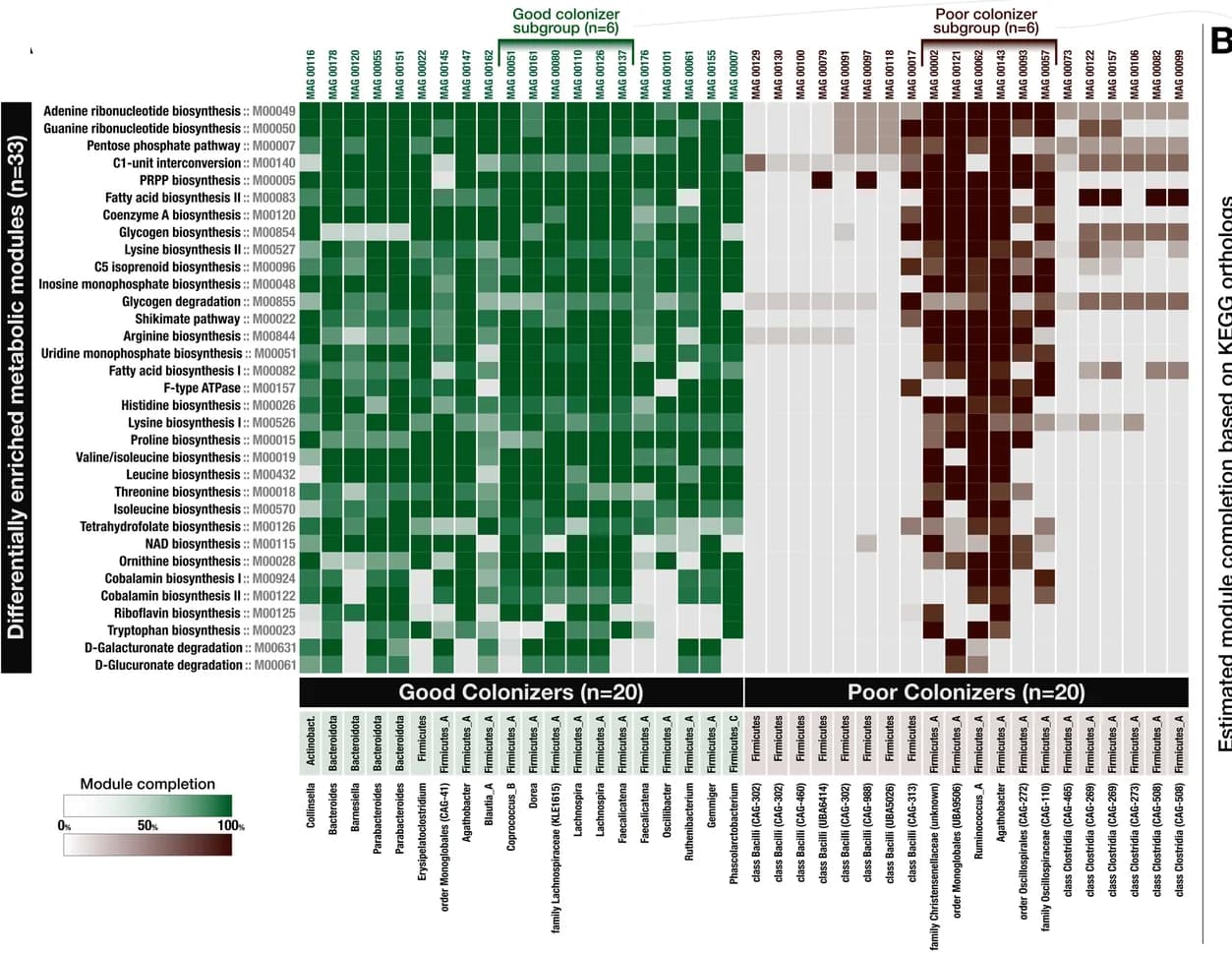 Open access visualization of Heatmap, Heat Map, Metabolic Module, Genome