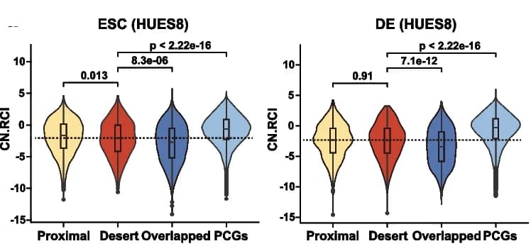 Open access visualization of Violin Plot, Box Plot, Raincloud Plot, Subcellular Localization, LncRNAs