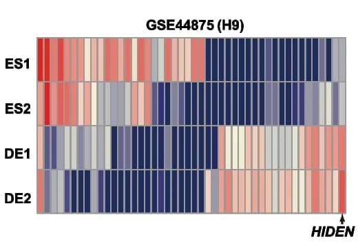 Open access visualization of Heatmap, Differentially Expressed Desert LncRNAs, ESCs, DE Cells