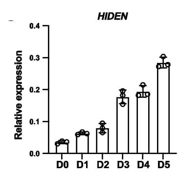 Open access visualization of Bar Plot, Error Bars, Time Course Expression, HIDEN, Endoderm Differentiation