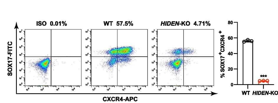 Open access visualization of Scatter Plot, Bar Plot, Flow Cytometry, SOX17, CXCR4