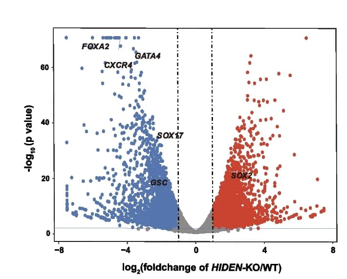 Open access visualization of Volcano Plot, Scatterplot, Differentially expressed genes, RNA-seq, DE cells