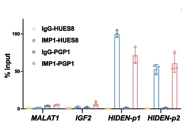 Open access visualization of Bar Plot, Error Bars, IMP1 RIP, RT-qPCR, DE Cells