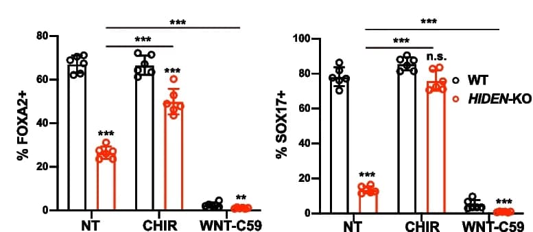 Open access visualization of Bar Plot, Error Bars, Scatter Plot, Quantitative Results, SOX17