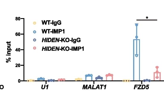 Open access visualization of Bar Plot, Scatter Plot, Error Bars, RT-qPCR, IMP1 RIP