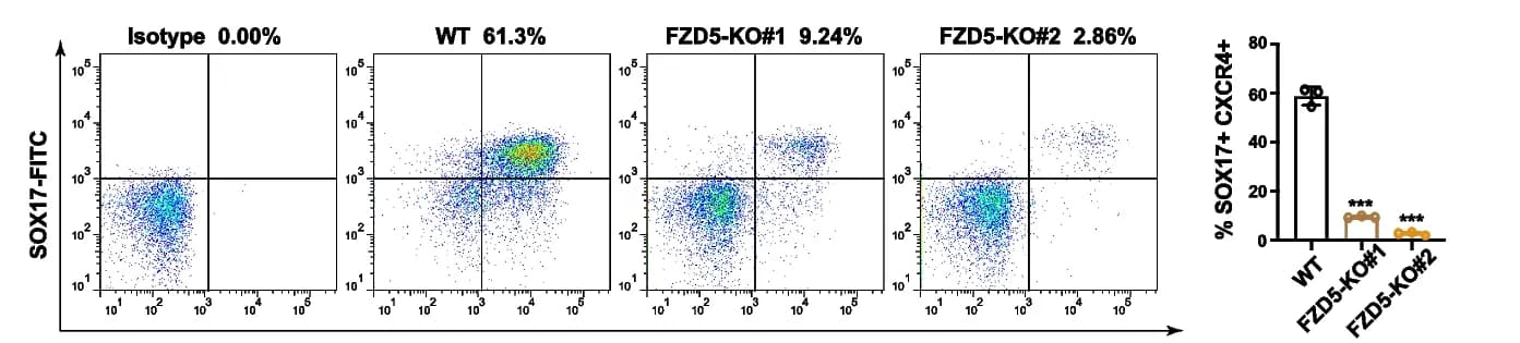 Open access visualization of Scatter Plot, Bar Plot, Flow Cytometry, SOX17+CXCR4+ Cells, Wildtype