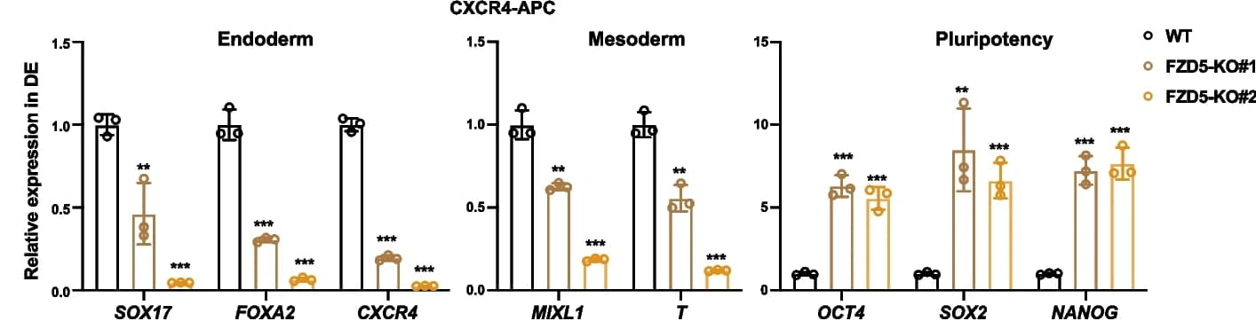 Open access visualization of Bar Plot, Error Bars, Scatter Plot, RNA Levels, Endoderm Genes