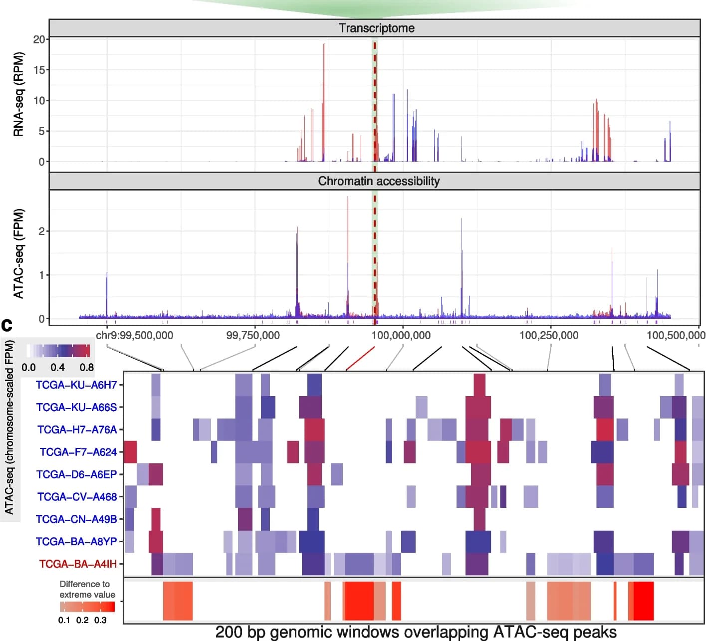 Open access visualization of Line Plot, Heatmap, ATAC-seq Peaks, Tumor Samples