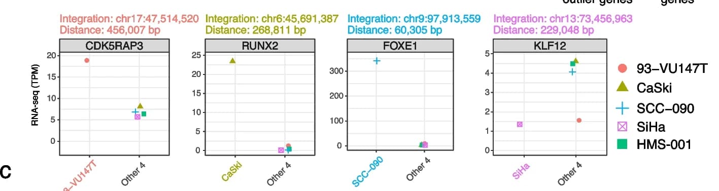 Open access visualization of Scatter Plot, Outlier Gene, Cell Lines, HPV