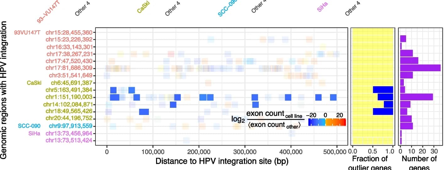 Open access visualization of Scatter Plot, Bar Plot, Ensembl Genes, HPV Integration Sites, Exon Usage