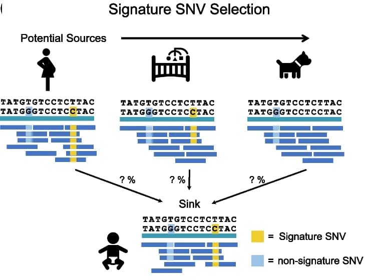 Open access visualization of Workflow, Illustration, Signature SNV, Non-signature SNV, Sources