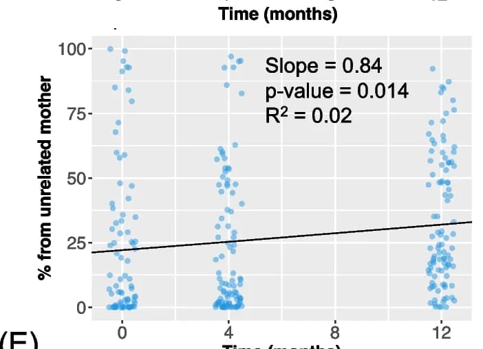 Open access visualization of Scatter Plot, Regression Plot, Species-FEAST, SNV-FEAST, Infant gut microbiome