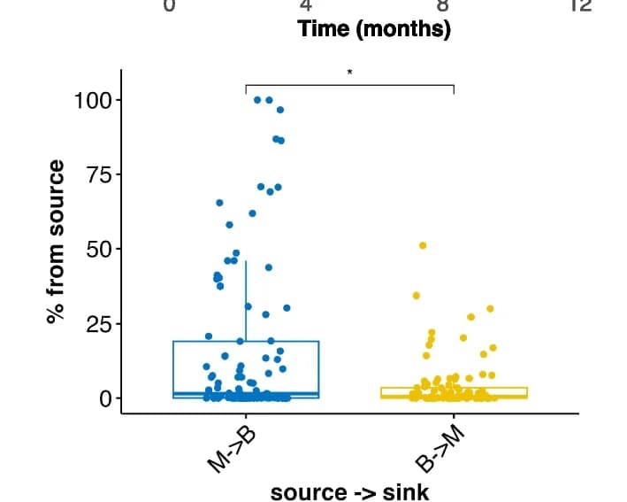 Open access visualization of Box Plot, Scatter Plot, Species-FEAST, Source tracking, Infant gut microbiome