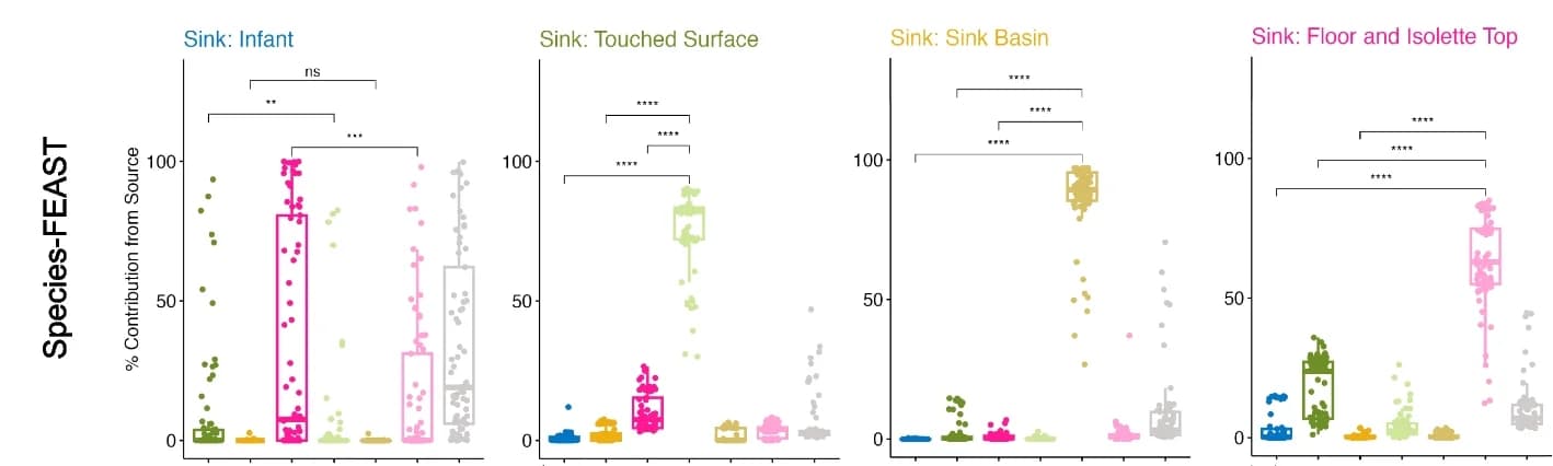 Open access visualization of Box Plot, Scatter Plot, Raincloud Plot, Species-FEAST, Source Tracking