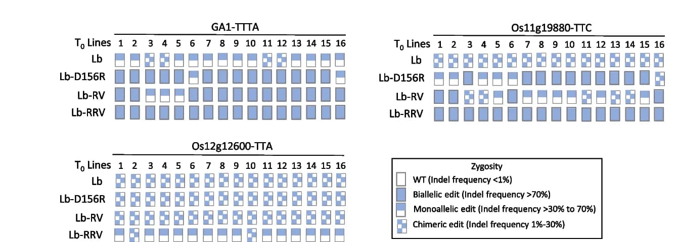 Open access visualization of Bar Plot, Genotypes, T0 Plants, Wild Type, Biallelic Edit