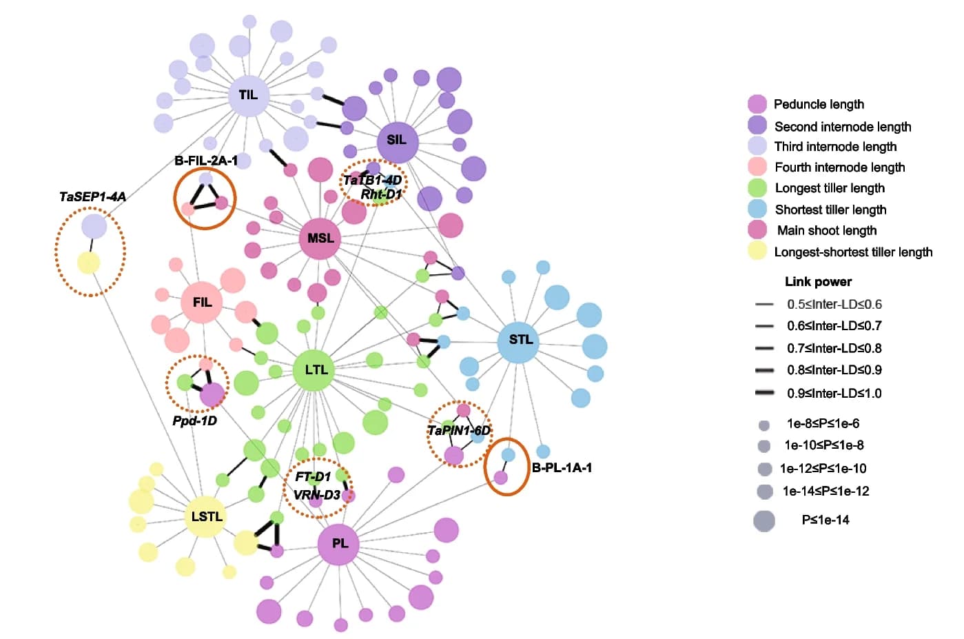 Open access visualization of Network, Pathway, Association networks, Wheat, Plant architecture traits