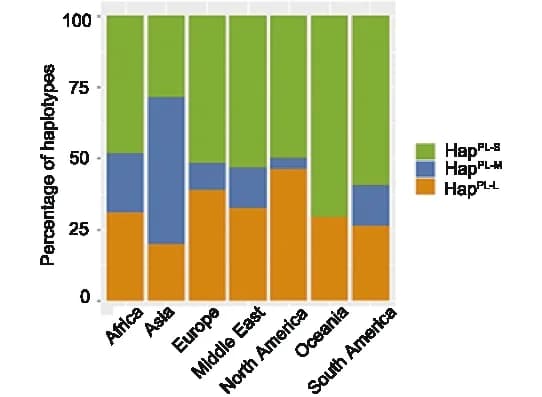 Open access visualization of Stacked Bar Plot, Haplotypes, Asia, Middle East