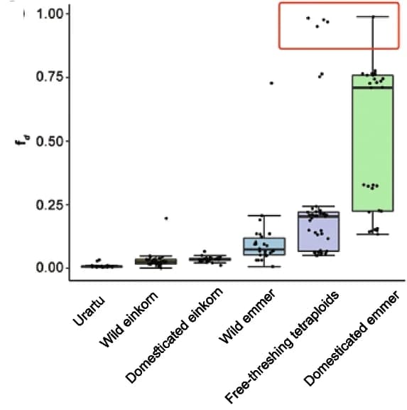 Open access visualization of Box Plot, Scatter Plot, Introgression, Donor Populations, Indian Dwarf Wheat