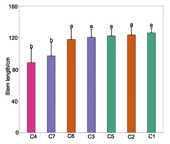 Open access visualization of Bar Plot, Error Bars, Stem Length, Haplotype Combinations, ANOVA