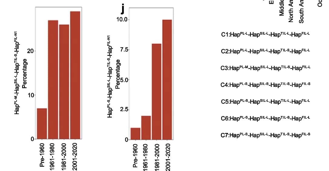 Open access visualization of Bar Plot, Haplotype Combinations, Chinese Wheat Accessions, Wheat Accessions