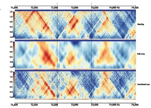 Open access visualization of Heatmap, Contact Map, Ground Truth, Prediction, MSE