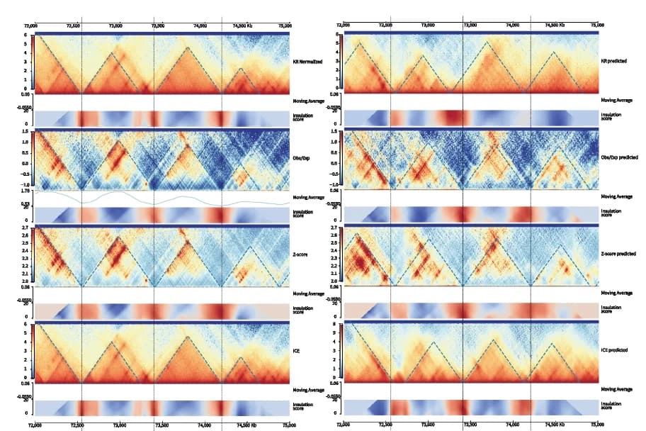Open access visualization of Heatmap, Line Plot, Ground Truth, Contact Maps, Normalization